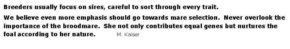 Text Box: Breeders usually focus on sires, careful to sort through every trait. We believe even more emphasis should go towards mare selection.  Never overlook the importance of the broodmare.  She not only contributes equal genes but nurtures the foal according to her nature.           M. Kaiser                                         
