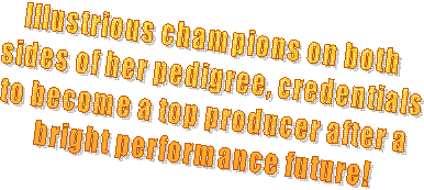 Illustrious champions on both 
sides of her pedigree, credentials
to become a top producer after a 
bright performance future!



