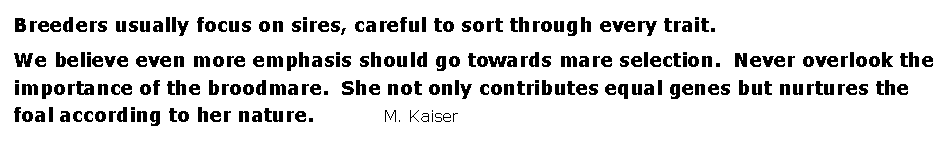 Text Box: Breeders usually focus on sires, careful to sort through every trait. We believe even more emphasis should go towards mare selection.  Never overlook the importance of the broodmare.  She not only contributes equal genes but nurtures the foal according to her nature.           M. Kaiser                                         