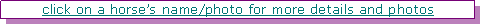 Text Box: click on a horse�s name/photo for more details and photos 