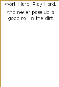 Text Box: Work Hard, Play Hard,And never pass up a good roll in the dirt