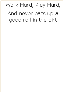 Text Box: Work Hard, Play Hard,And never pass up a good roll in the dirt